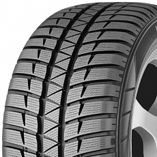 Falken Eurowinter HS449 205/55 R 17 91H