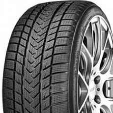 Gripmax Pro Winter 265/40 R 19 102V