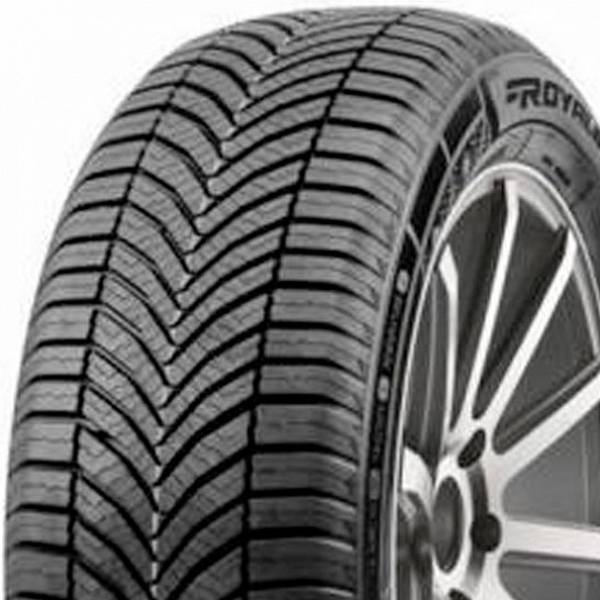 Royal Black Royal A/S II 255/40 ZR 19 100W Royal Black Royal A/S II 255/40 ZR 19 100W